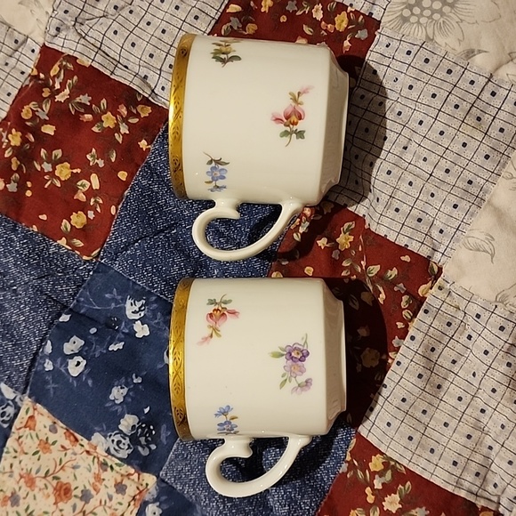 Set of Two Tirschenreuth Floral Golden Rim Demitasse Cups - Picture 2 of 4